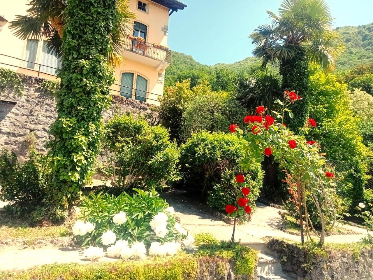 Villa Silvana Perledo المظهر الخارجي الصورة